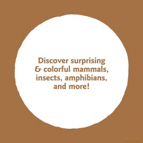 Animals of the Mountains: My Nature Sticker Activity Book - Guénolée André [KSIĄŻKA]