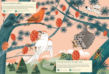 Animals of the Mountains: My Nature Sticker Activity Book - Guénolée André [KSIĄŻKA]