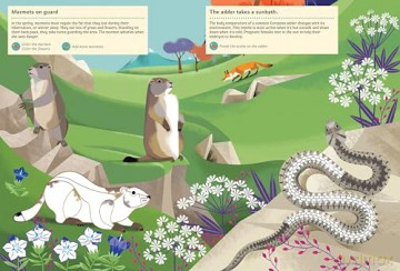 Animals of the Mountains: My Nature Sticker Activity Book - Guénolée André [KSIĄŻKA]