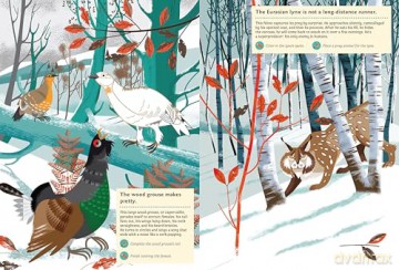 Animals of the Mountains: My Nature Sticker Activity Book - Guénolée André [KSIĄŻKA]