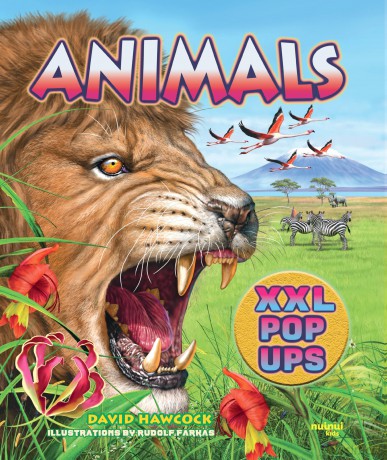 Animals XXL pop-ups - David Hawcock [KSIĄŻKA]