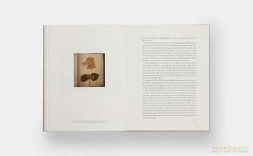 Annie Leibovitz At Work: Revised Edition - Annie Leibovitz [KSIĄŻKA]