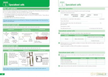 AQA GCSE 9-1 Combined Science Trilogy Higher Organise and Retrieve Your Knowledge (Collins GCSE Grade 9-1 Revision) - Collins GCSE [KSIĄŻKA]