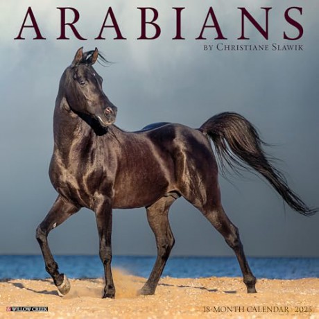 Arabians 2025 Wall [KSIĄŻKA]