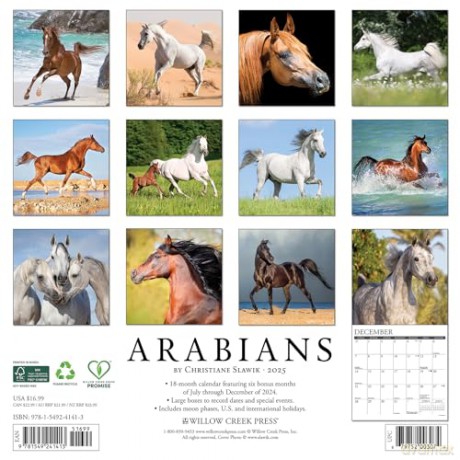 Arabians 2025 Wall [KSIĄŻKA]