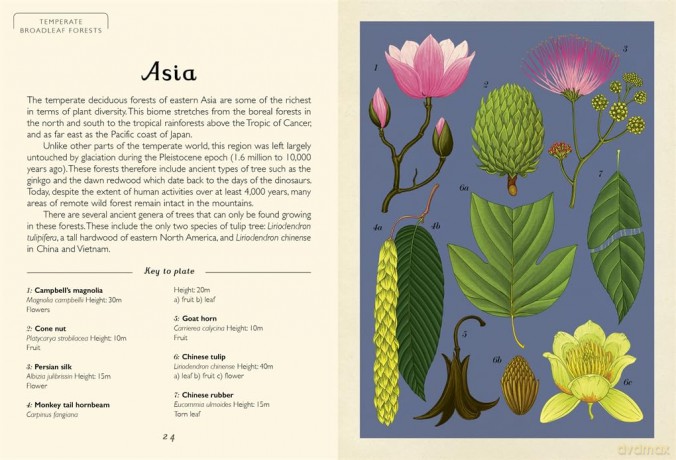Arboretum Mini Gift: Welcome to the Museum - Royal Botanic Gardens Kew [KSIĄŻKA]