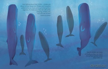 Are Whales and Dolphins Smarter Than Humans: Discover the science behind cetology: 4 (The Big Questions Answered) - Eliza Jeffery [KSIĄŻKA]