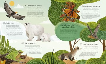 Around the World in 80 Endangered Animals - Jess French [KSIĄŻKA]