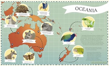 Around the World in 80 Endangered Animals - Jess French [KSIĄŻKA]