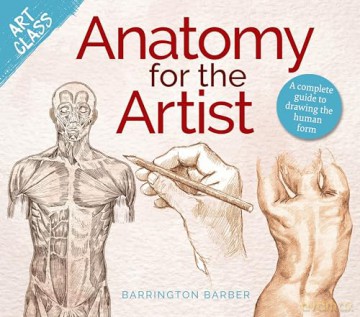 Art Class: Anatomy for the Artist: A complete guide to drawing the human form - Barrington Barber [KSIĄŻKA]