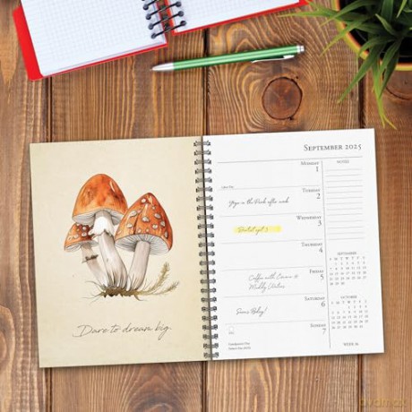 Art of the Mushroom 2025 Engagement [KSIĄŻKA]