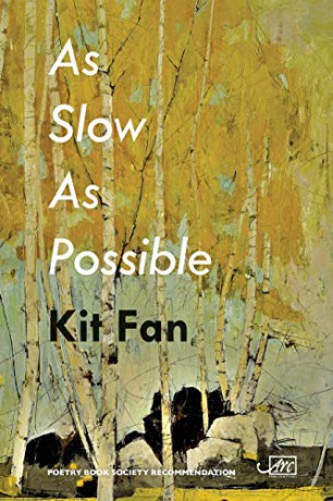 As Slow As Possible - Kit Fan [KSIĄŻKA]