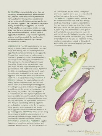 Asian Vegetables: A Cook's Bible: Detailed Descriptions and Illustrations of 139 Vegetables, Including Dried and Preserved Varieties with 145 Authentic Recipes - Wendy Hutton [KSIĄŻKA]
