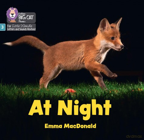 At Night: Phase 3 Set 1 Blending practice (Big Cat Phonics for Little Wandle Letters and Sounds Revised) - Emma MacDonald [KSIĄŻKA]