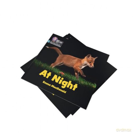 At Night: Phase 3 Set 1 Blending practice (Big Cat Phonics for Little Wandle Letters and Sounds Revised) - Emma MacDonald [KSIĄŻKA]