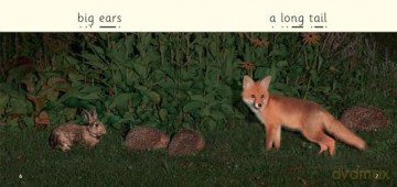 At Night: Phase 3 Set 1 Blending practice (Big Cat Phonics for Little Wandle Letters and Sounds Revised) - Emma MacDonald [KSIĄŻKA]