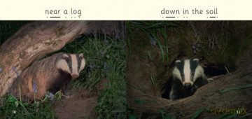 At Night: Phase 3 Set 1 Blending practice (Big Cat Phonics for Little Wandle Letters and Sounds Revised) - Emma MacDonald [KSIĄŻKA]