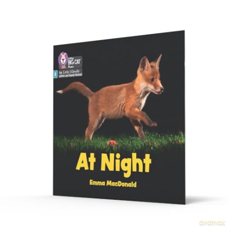 At Night: Phase 3 Set 1 Blending practice (Big Cat Phonics for Little Wandle Letters and Sounds Revised) - Emma MacDonald [KSIĄŻKA]