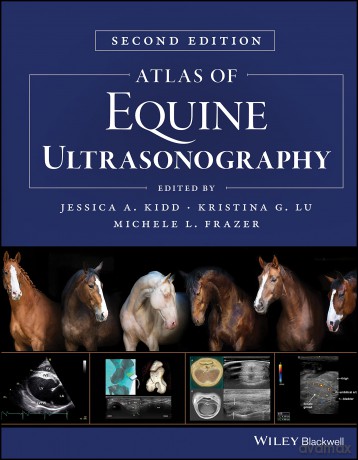 Atlas of Equine Ultrasonography - Jessica A. Kidd [KSIĄŻKA]