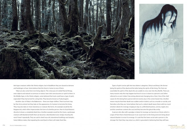 Atlas of Paranormal Places: A Journey to the World's Most Supernatural Places - Evelyn Hollow [KSIĄŻKA]