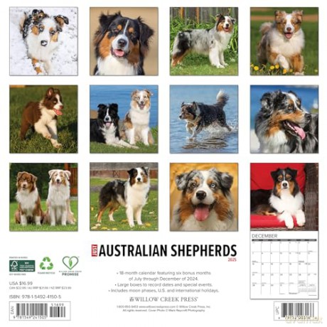 Australian Shepherds 2025 Wall [KSIĄŻKA]