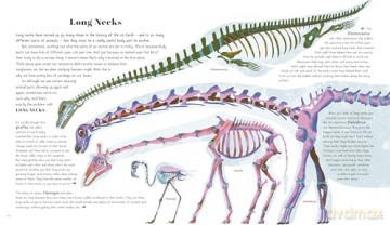 Awesome Animal Evolution: Discover the Greatest Success Stories of Animal Adaptation! - Dr. Nick Crumpton [KSIĄŻKA]
