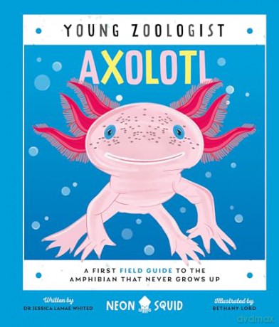 Axolotl (Young Zoologist): A First Field Guide to the Amphibian That Never Grows Up: 10 (Young Zoologist, 10) - Dr Jessica L. Whited [KSIĄŻKA]