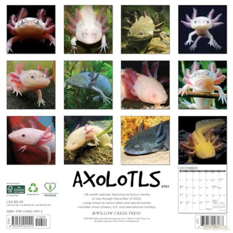 Axolotls 2025 Wall [KSIĄŻKA]