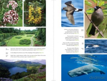 Azores (Bradt Travel Guides) - David Sayers [KSIĄŻKA]