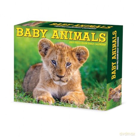 Baby Animals 2025 Box [KSIĄŻKA]