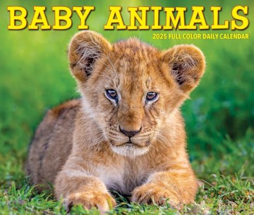Baby Animals 2025 Box [KSIĄŻKA]