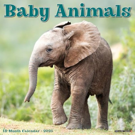 Baby Animals 2025 Wall [KSIĄŻKA]