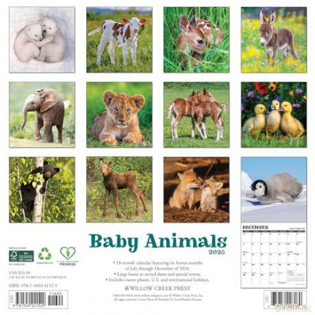 Baby Animals 2025 Wall [KSIĄŻKA]