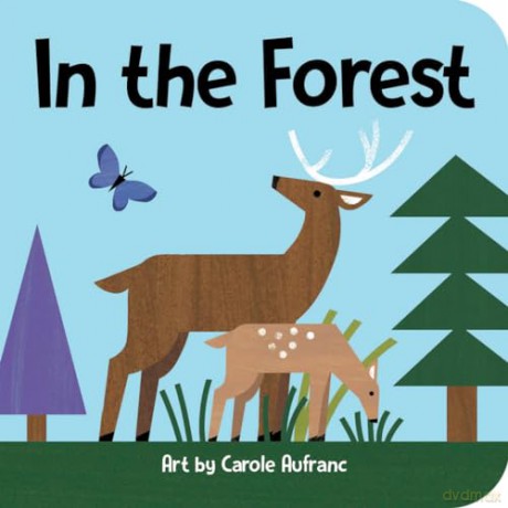 Baby Block Books: Wild Animals: 2 [KSIĄŻKA]