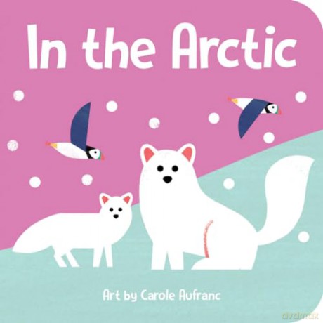 Baby Block Books: Wild Animals: 2 [KSIĄŻKA]