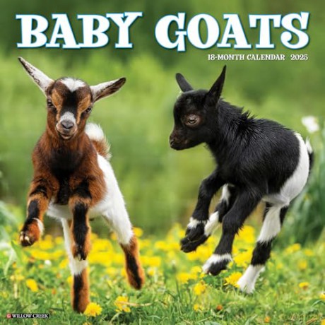 Baby Goats 2025 Wall [KSIĄŻKA]