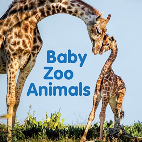 Baby Zoo Animals: Board book [KSIĄŻKA]