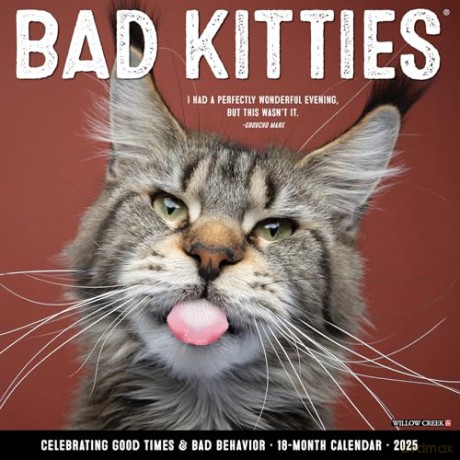 Bad Kitties 2025 Wall [KSIĄŻKA]
