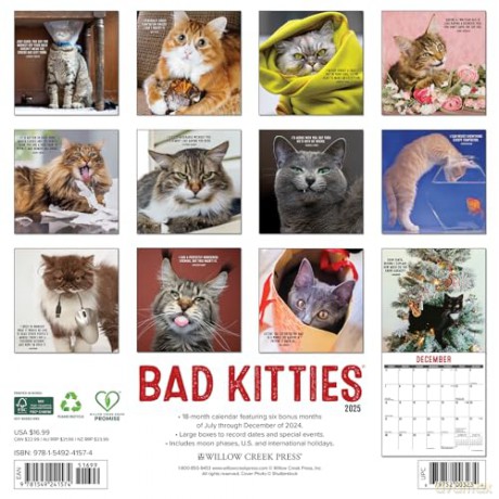 Bad Kitties 2025 Wall [KSIĄŻKA]