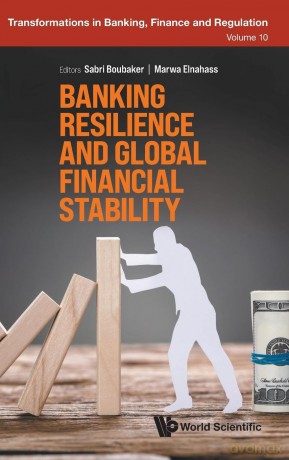 Banking Resilience And Global Financial Stability: 0 (Transformations In Banking, Finance And Regulation) - Sabri Boubaker [KSIĄŻKA]