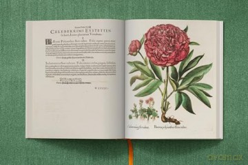 Basilius Besler. The Garden at Eichstätt - Klaus Walter Littger [KSIĄŻKA]