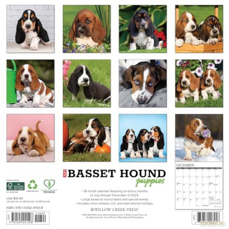Basset Hound Puppies 2025 Wall [KSIĄŻKA]
