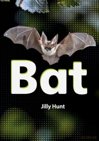 Bat - Little Wandle high-low decodable reader for ages 7+ (Striders Phonics Readers) - Jilly Hunt [KSIĄŻKA]