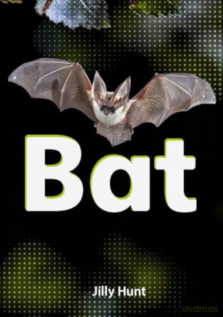 Bat - Little Wandle high-low decodable reader for ages 7+ (Striders Phonics Readers) - Jilly Hunt [KSIĄŻKA]