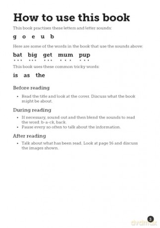 Bat - Little Wandle high-low decodable reader for ages 7+ (Striders Phonics Readers) - Jilly Hunt [KSIĄŻKA]