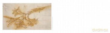 Be Inspired: To Draw like a Renaissance Master - Martin Clayton [KSIĄŻKA]