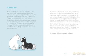 Be More Cat: Feline Wisdom for a Purr-fectly Happy Life - Alison Davies [KSIĄŻKA]
