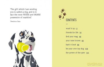 Be More Dog: Tips and Tricks for Unlocking Your Paw-tential - Alison Davies [KSIĄŻKA]