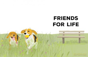 Be More Dog: Tips and Tricks for Unlocking Your Paw-tential - Alison Davies [KSIĄŻKA]