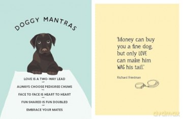 Be More Dog: Tips and Tricks for Unlocking Your Paw-tential - Alison Davies [KSIĄŻKA]